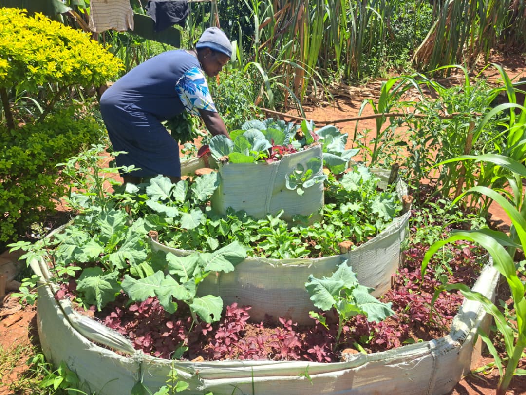 Tree nursery training