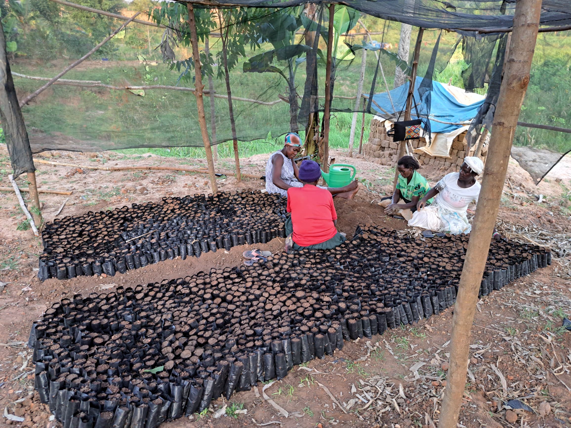 Social Seed Uganda